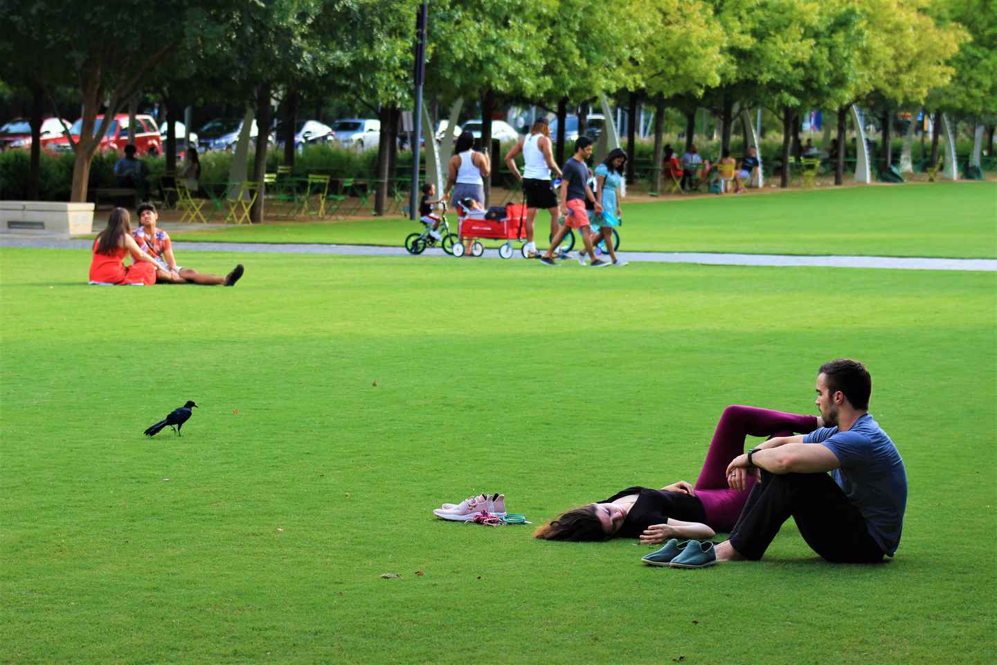 Dallas: City Highlights Guided Walking Tour thumbnail